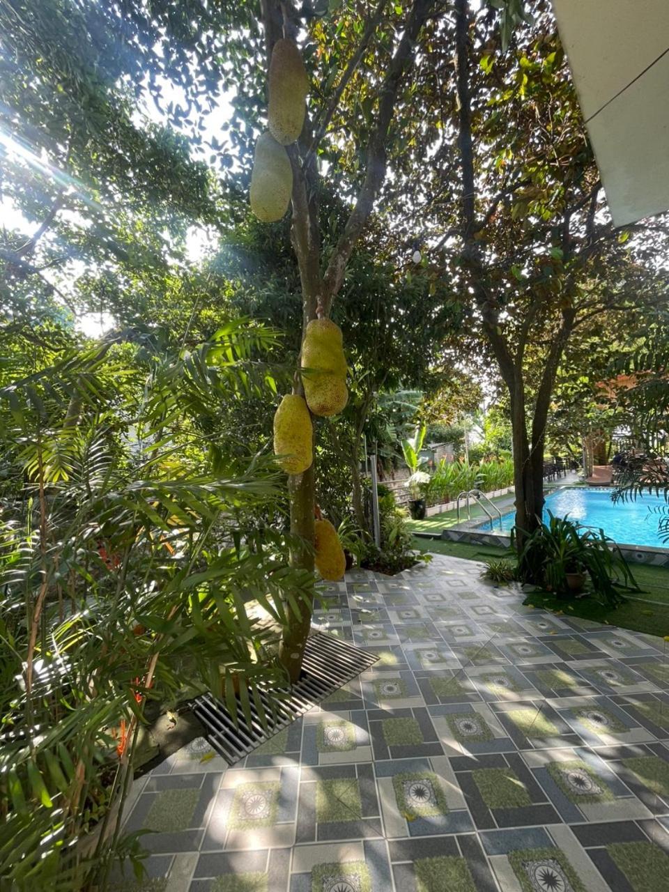 Tam Coc Relax Homestay Ninh Binh Esterno foto